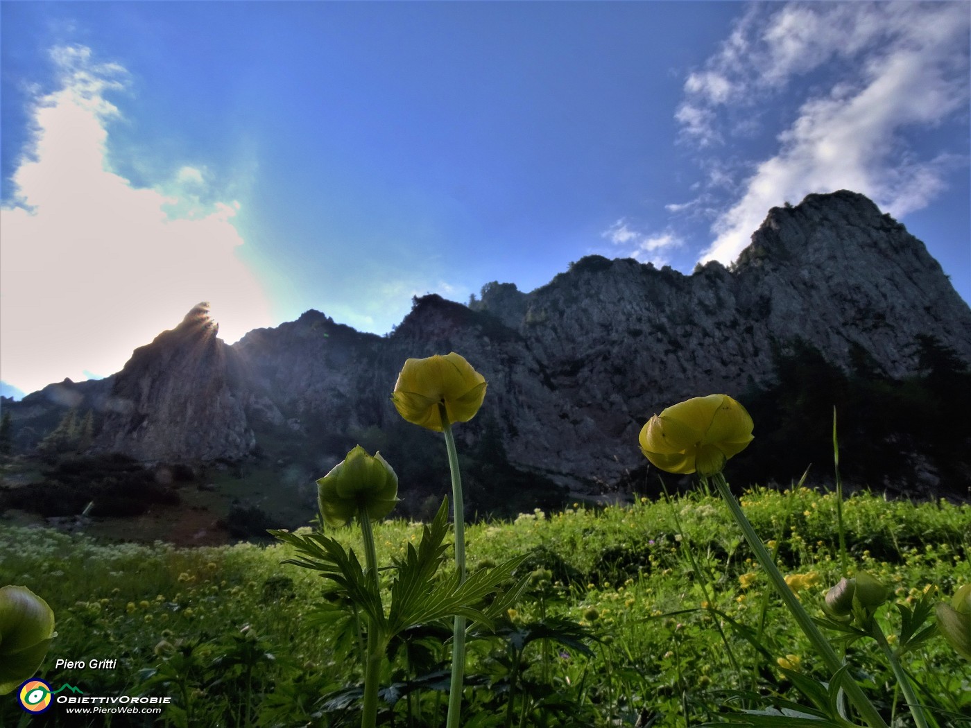 20 Trollius europaeus (Botton d'oro), sul sent. 219 alle pendici del torrione del Corno Branchino .JPG